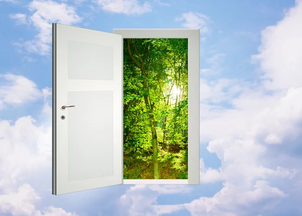 Door for new world — Stock Photo, Image