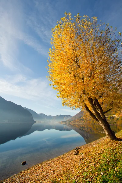 Idro jeziora jesienią — Zdjęcie stockowe