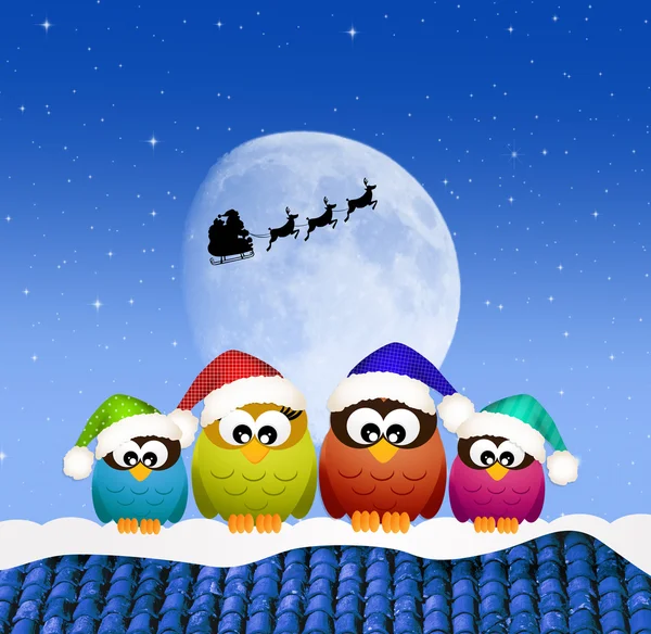 Owls on the roof at Christmas — Stock Photo, Image