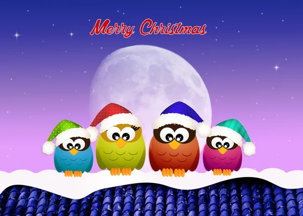 Owls on the roof at Christmas — Stock Photo, Image