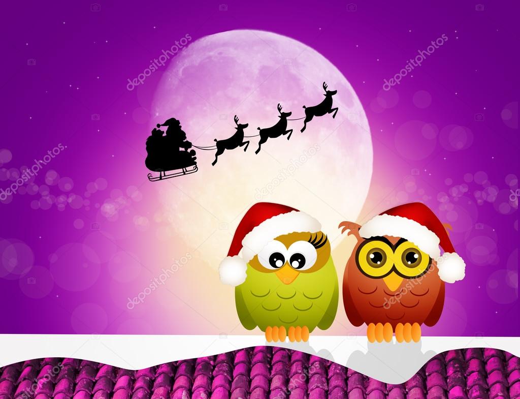 owls on roof at Christmas