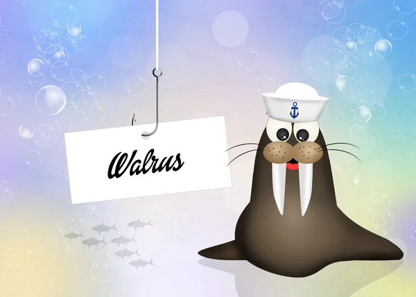 Walrus in the ocean — Stock Photo, Image