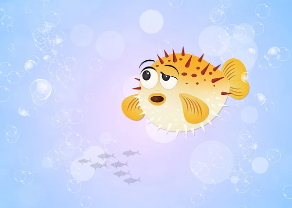 puffer fish in the ocean