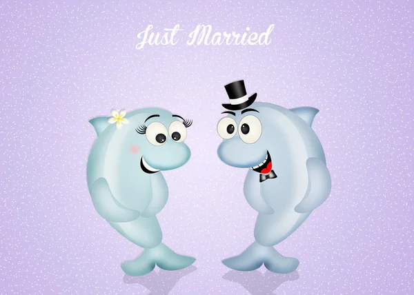 Wedding of dolphins — Stock Photo, Image