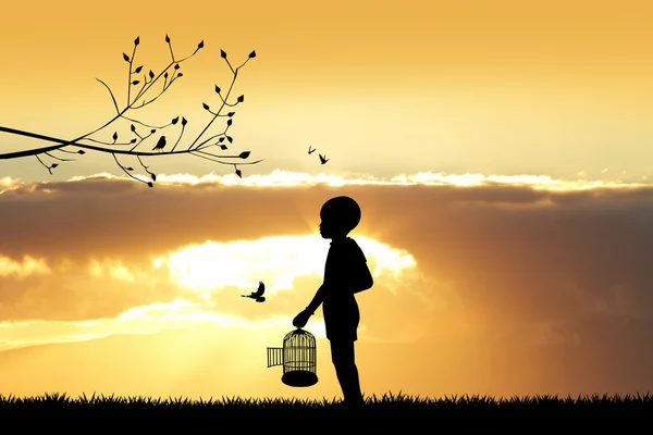 Child with bird cage at sunset — Stock Photo, Image