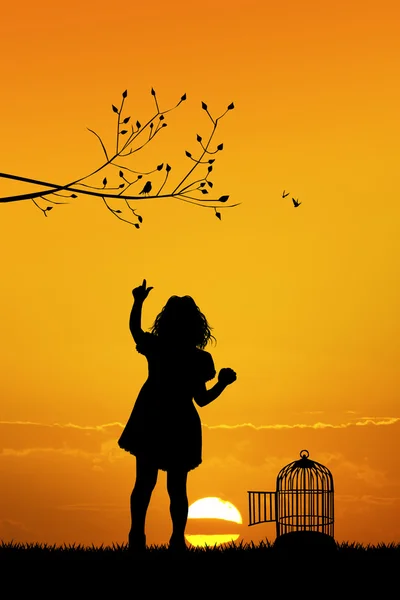 Menina com gaiola de pássaro ao pôr do sol — Fotografia de Stock