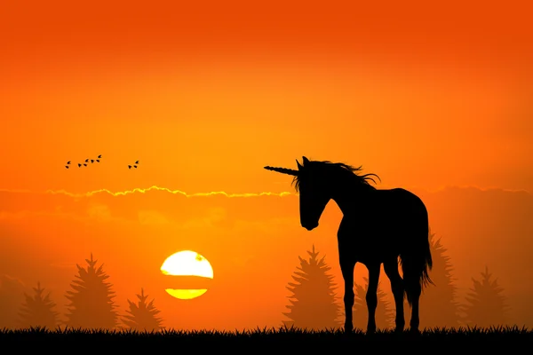 Unicorn at sunset — Stock Photo, Image