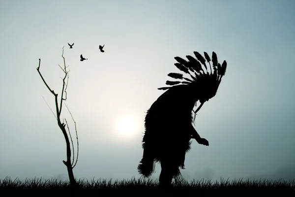 Native Amerika Indiase silhouet — Stockfoto