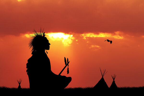 Силуэт красной кожи на закате
