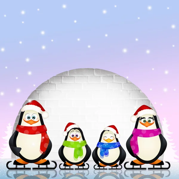 有趣的企鹅和圆顶冰屋 — 图库照片