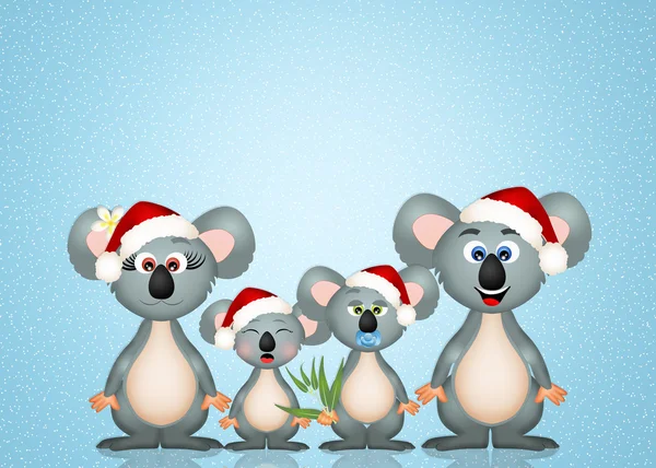 Koalas no Natal — Fotografia de Stock