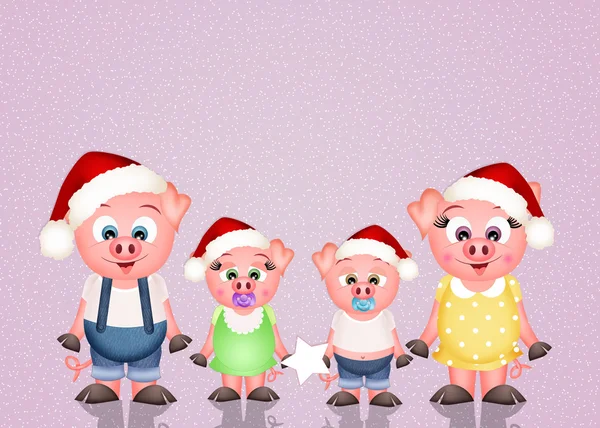 Pigs at Christmas — Stock Photo, Image