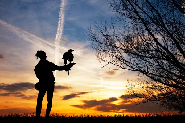 Falkner bei Sonnenuntergang — Stockfoto