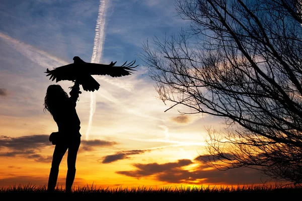 Falconer at sunset — Stock Photo, Image