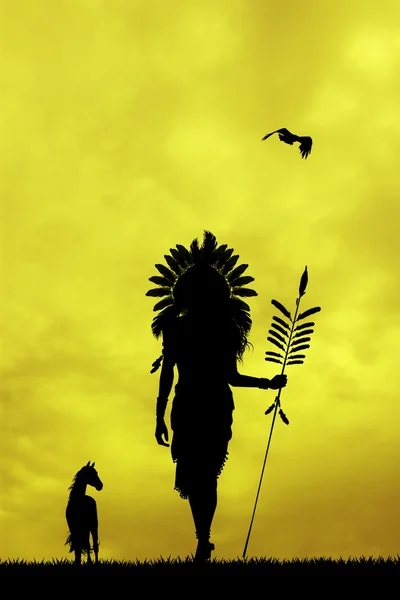Índio nativo americano ao pôr do sol — Fotografia de Stock