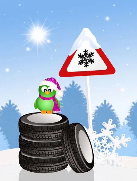 Drôle oiseau sur pneus neige — Photo