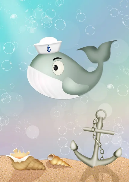 Baleia com chapéu de marinheiro — Fotografia de Stock