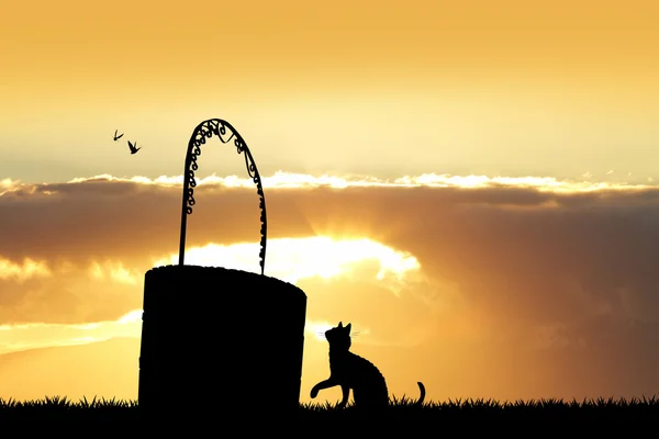 De wensen goed bij zonsondergang — Stockfoto