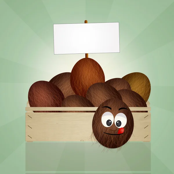 Grappige kokosnoten vak — Stockfoto