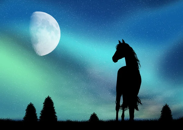 Horse and Northern Lights — Stock Photo, Image