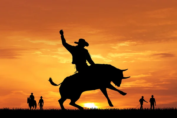 Bull rider at sunset — Stock Photo, Image