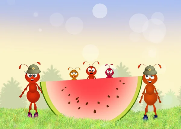 Exército engraçado de formigas vermelhas — Fotografia de Stock