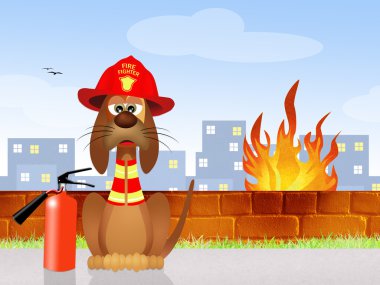 komik firehouse köpek