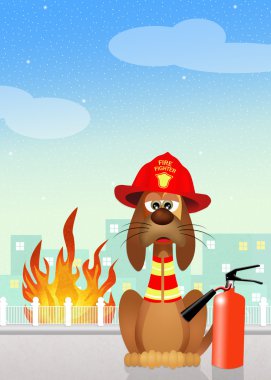 firehouse köpek resmi