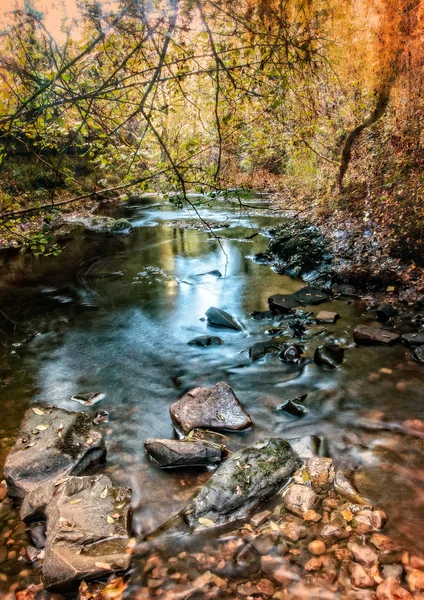 Río en el bosque — Foto de Stock