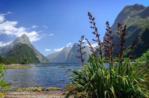 Sonido de Milford. Nueva Zelanda — Foto de Stock