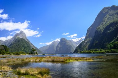 Milford Sound. New Zealand clipart