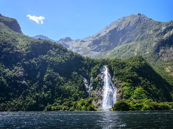Spectacular waterfall in Milford Sound fiord. — Stock Photo, Image