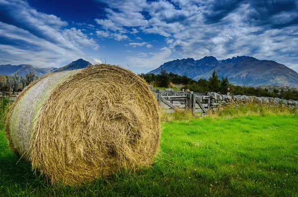 Hay stack in a summer field Stock Photo