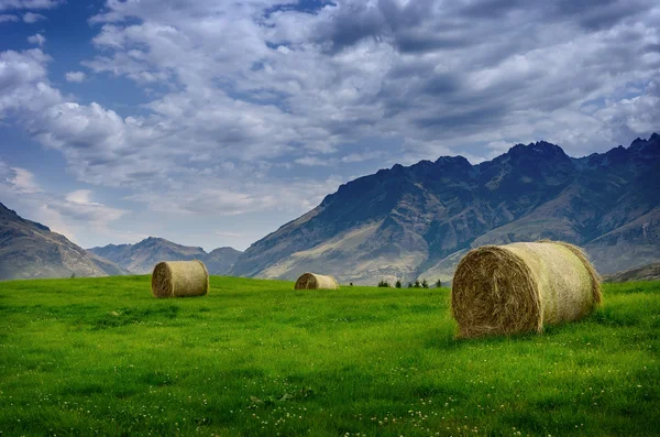 Hay stack in a summer field Royalty Free Stock Images