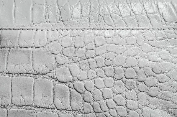 Textura de perla blanca de piel de reptil —  Fotos de Stock