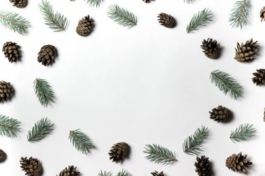 Beyaz arka planda ladin dalları ve konilerden oluşan doğal bir sınır. Üst görünüm, alanı kopyala.