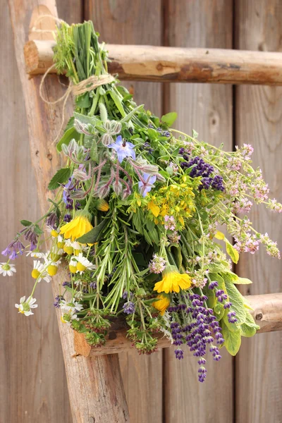 Ramo de diferentes hierbas frescas y plantas medicinales Fotos De Stock Sin Royalties Gratis