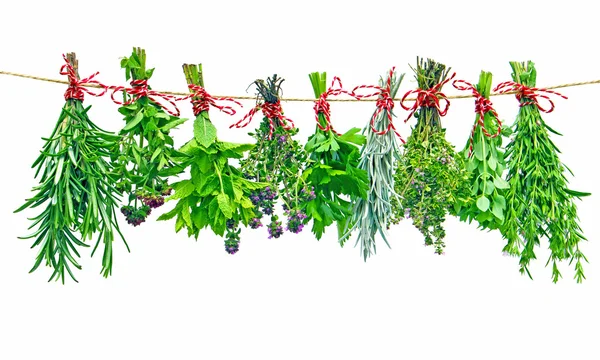 Various fresh herbs — Stock Photo, Image