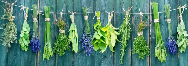 Diverses herbes fraîches Photo De Stock