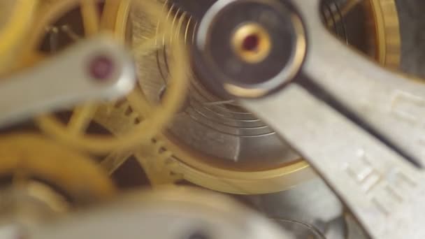 Zahnräder aus Metall im Uhrwerk. — Stockvideo