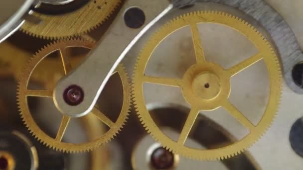 Metal cogwheels inside clockwork. — Stock Video