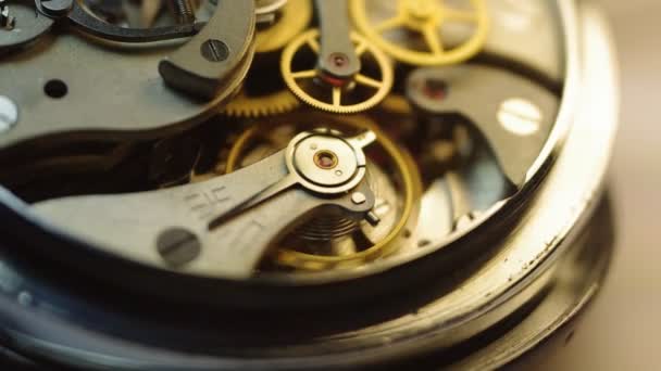 Ruedas dentadas de metal dentro del reloj . — Vídeos de Stock