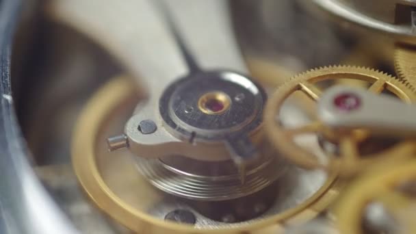 Ruedas dentadas de metal dentro del reloj . — Vídeos de Stock