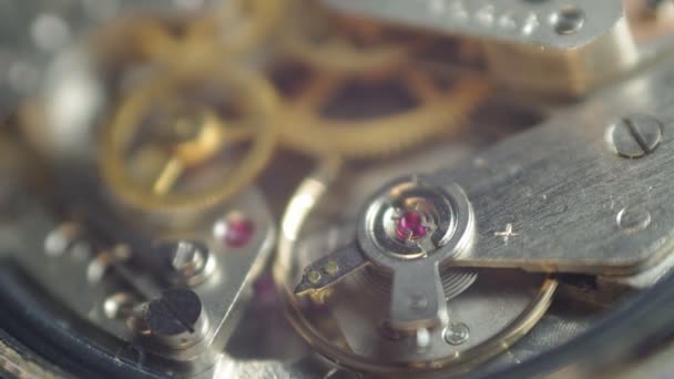 Ruedas dentadas de metal dentro del reloj . — Vídeos de Stock