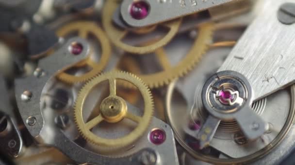 Metall kugghjul inne i clockwork. — Stockvideo