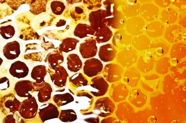 - Tatlım. Ballı bal peteği yakın plan. Makro