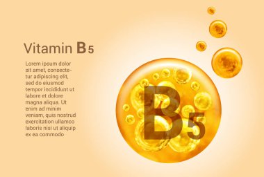 B5 vitamini. İçinde oksijen kabarcıkları olan altın topların vektör görüntüleri olan baner. Sağlık kavramı.  