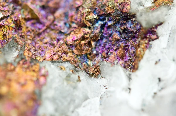 Chalcopyrite dans le quartz, Il a la formule chimique (CuFeS2 ). — Photo