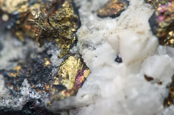 Calcopirite Rame ferro solfuro minerale Macro . — Foto Stock