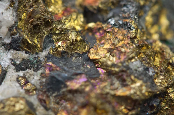 Chalcopyrite měď železo minerál makro. — Stock fotografie